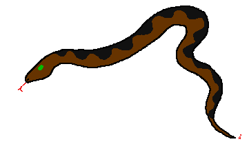 Boa Constrictor by Arby