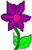 Flower for Eohippus
